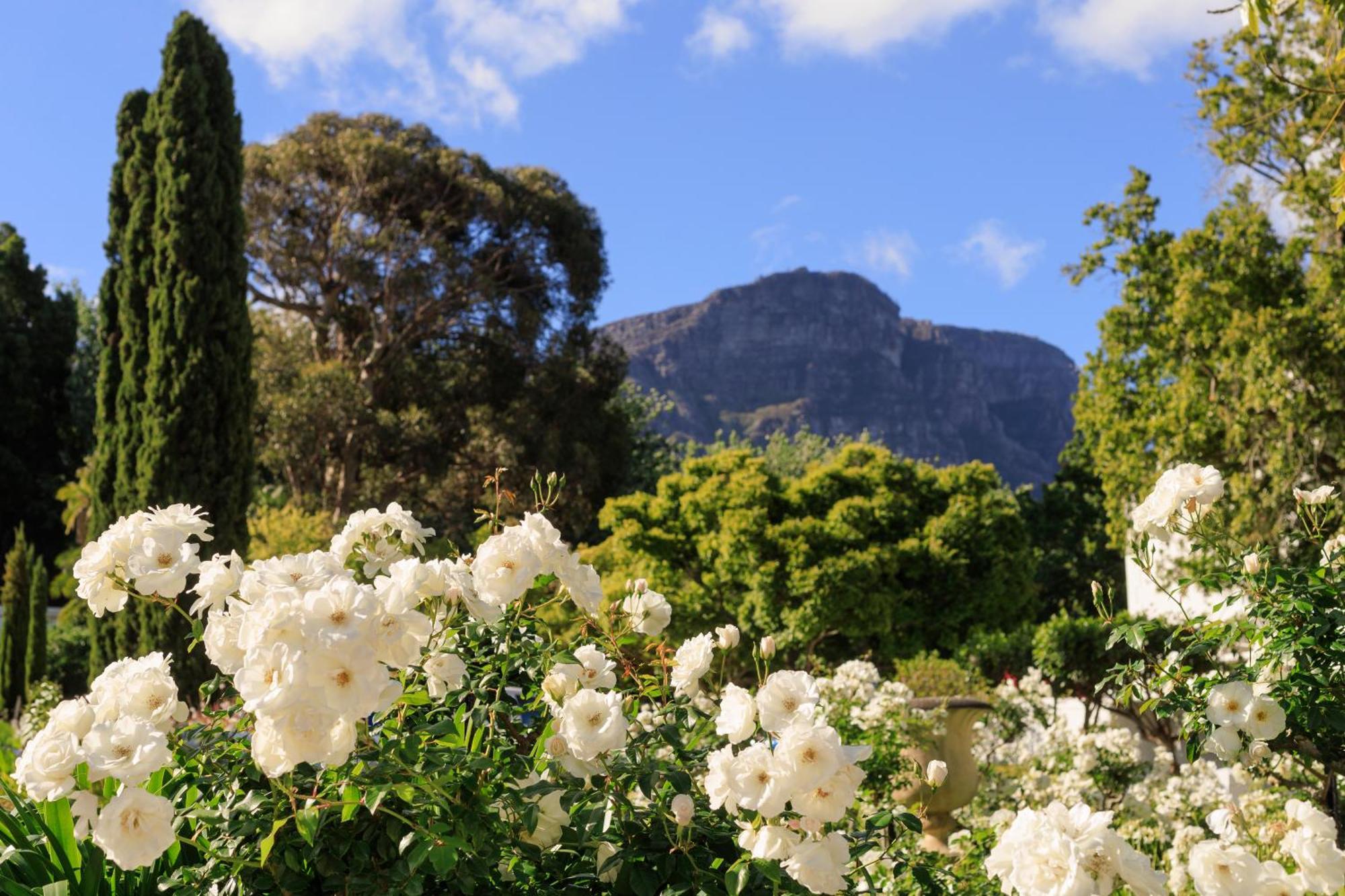 The Cellars-Hohenort Hotel Cape Town Exterior photo